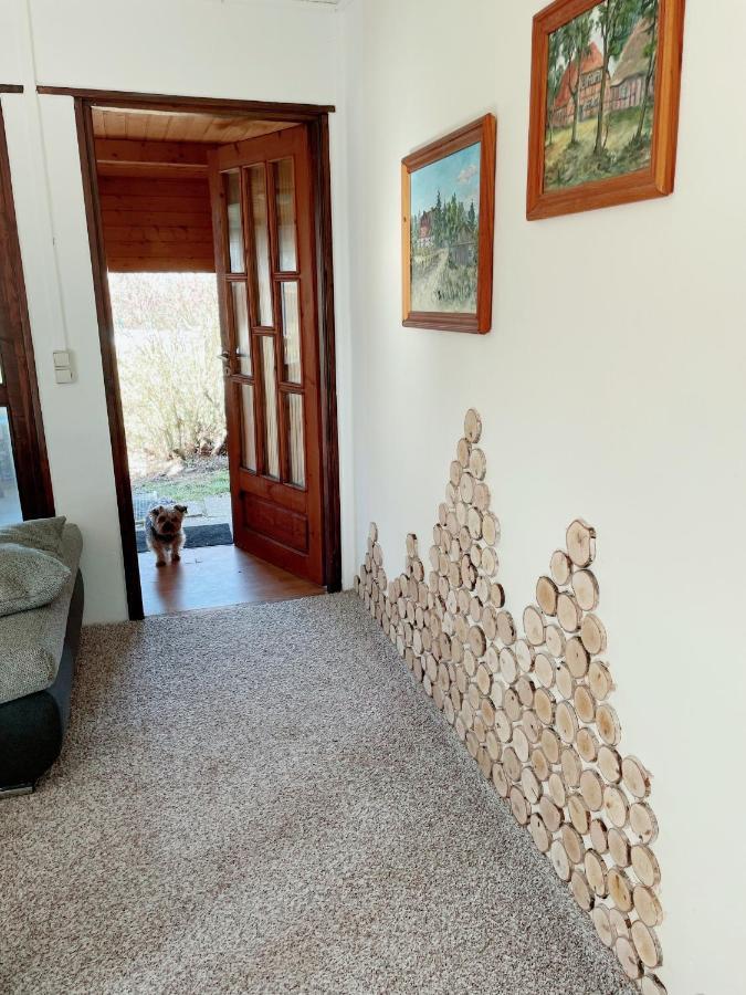 Landhaus Mit Pool, Bungalow In Der Natur Hohenbollentin Dış mekan fotoğraf