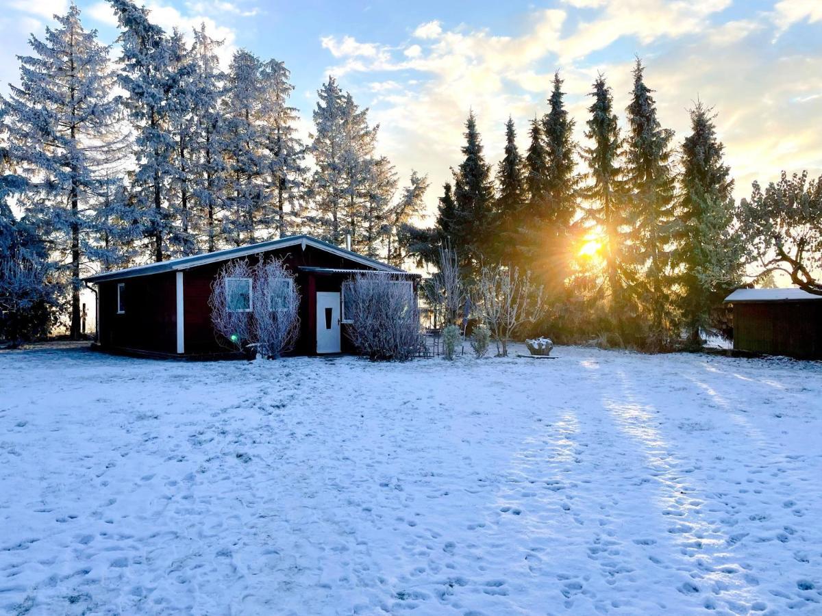 Landhaus Mit Pool, Bungalow In Der Natur Hohenbollentin Dış mekan fotoğraf