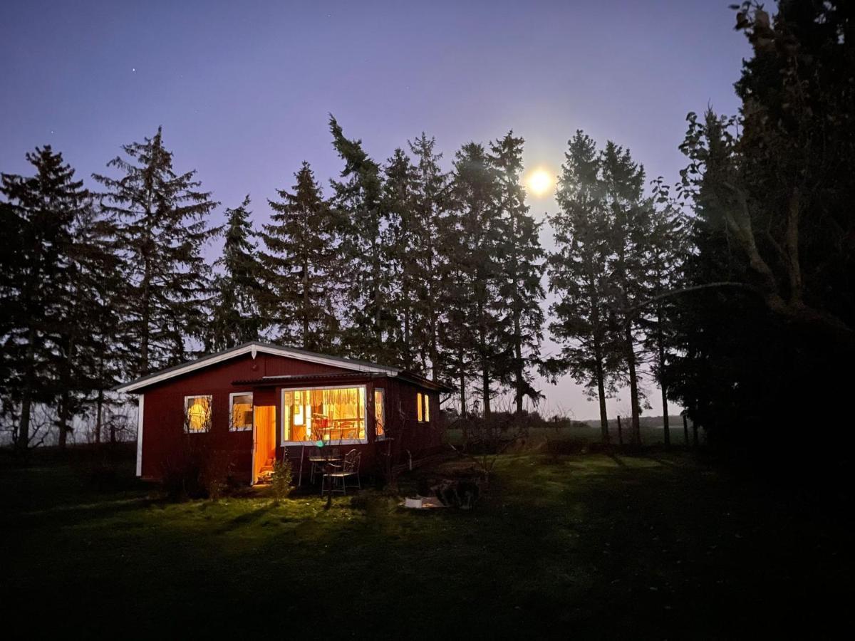 Landhaus Mit Pool, Bungalow In Der Natur Hohenbollentin Dış mekan fotoğraf